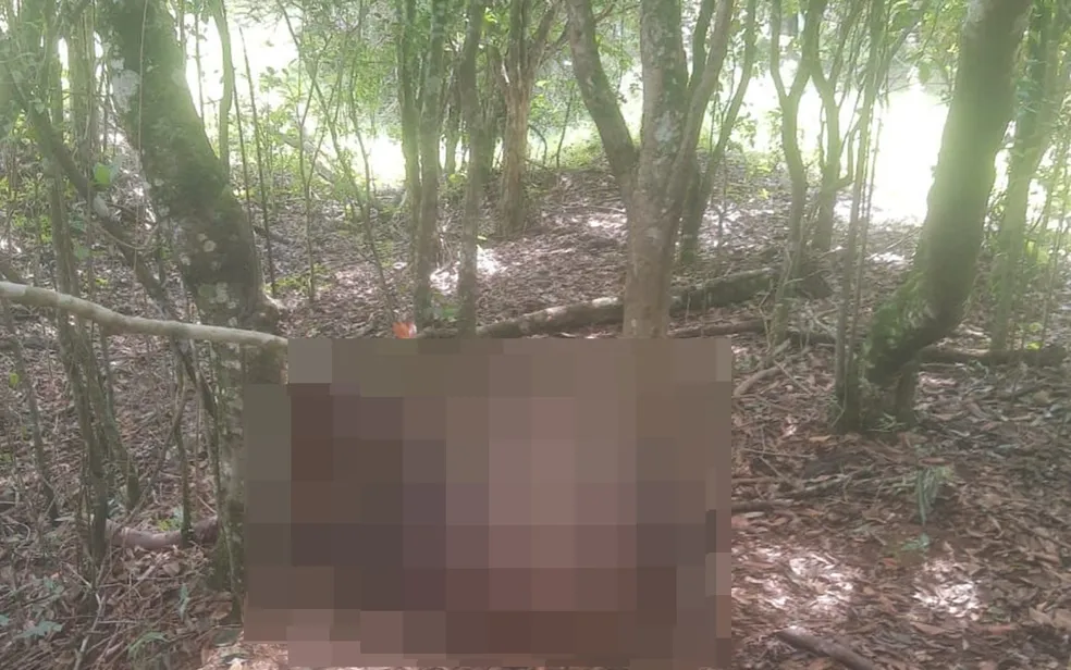 Acusado de matar homem encontrado amarrado em árvore com fraturas, cortes e queimaduras é condenado em MG — Foto: Redes sociais