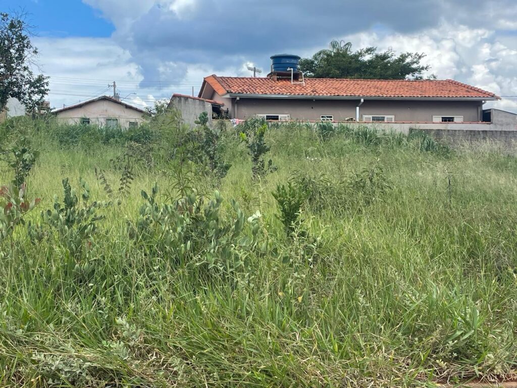 Moradores de Bom Jesus dos Campos em São José da Barra enfrentam problemas com mato alto em terrenos particulares - Foto: Robson Lima 
