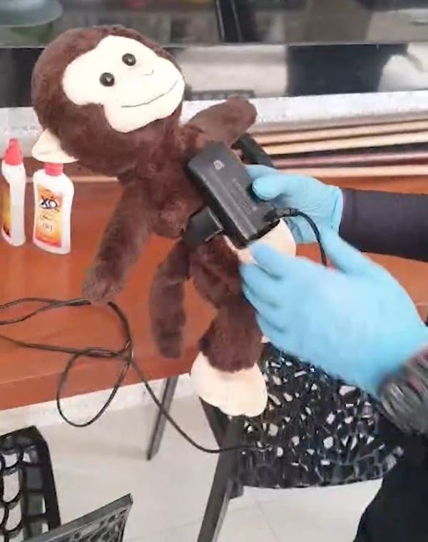 Durante a operação foi encontrado um macaco de pelúcia com uma tornozeleira eletrônica - Foto: PCMG