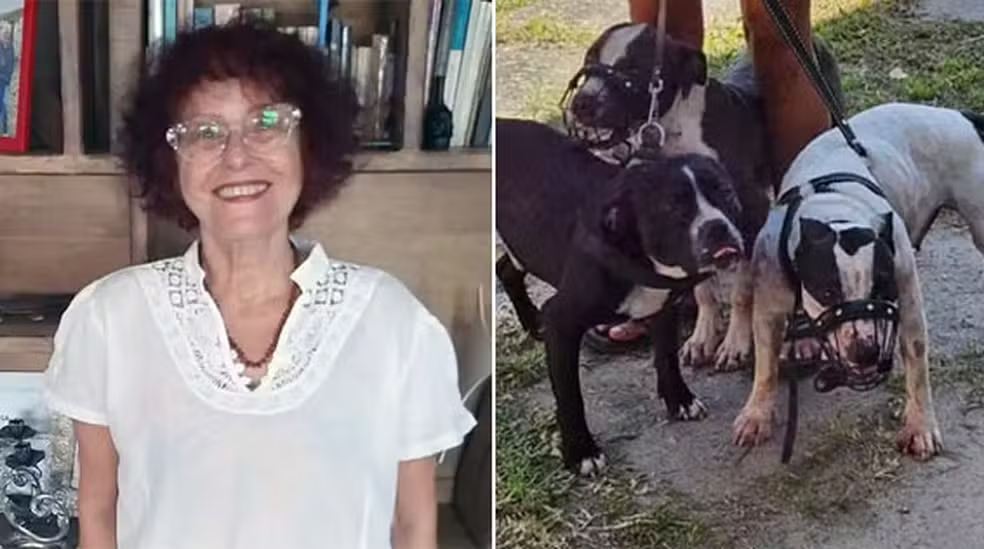 Escritora atacada por 3 pitbulls tem braço amputado e está em estado grave - Foto: redes sociais