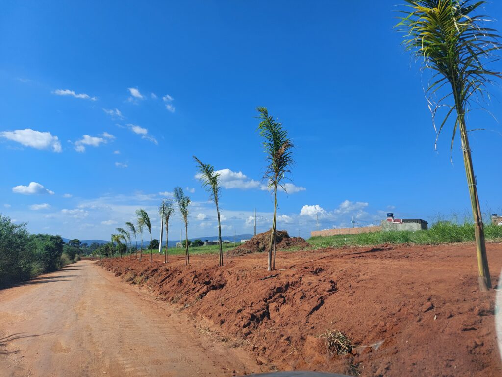 Balneário Shangrylá investe em terraplangem e Palmeiras reais no loteamento - Foto: Jornal Folha Regional