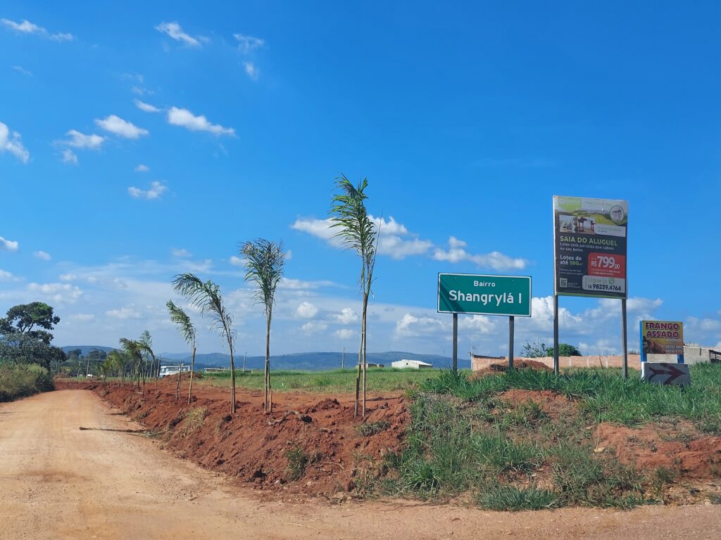 Balneário Shangrylá investe em terraplangem e Palmeiras reais no loteamento - Foto: Jornal Folha Regional