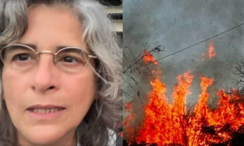 Fazenda de atriz da Globo em Minas Gerais pega fogo por causa de cigarro - Foto: redes sociais