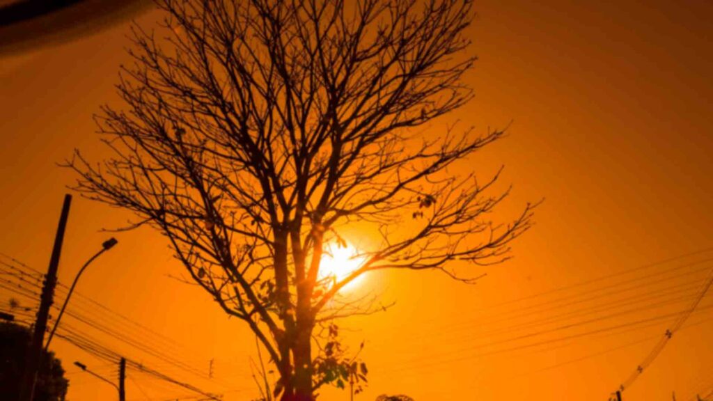 São José da Barra, Passos, Alpinópolis e mais 126 cidades de Minas ficam sob alerta de clima de deserto nesta segunda (22) - Foto: reprodução