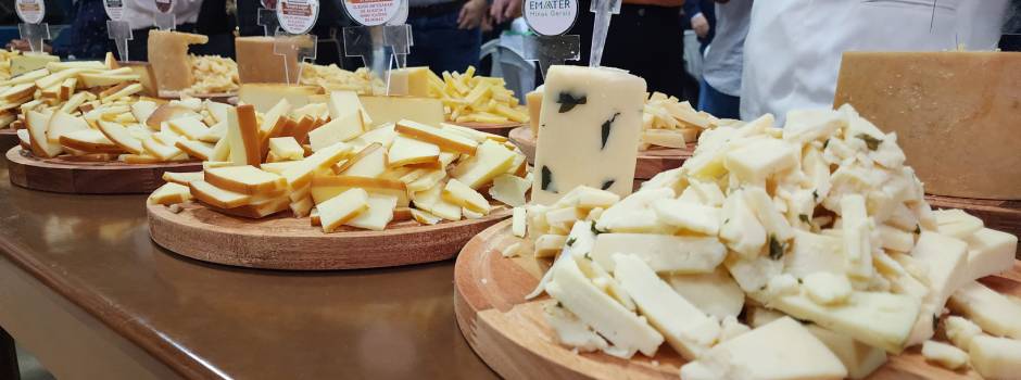 Confira a lista dos campeões do Concurso Estadual dos Queijos Artesanais de Minas Gerais - Foto: divulgação