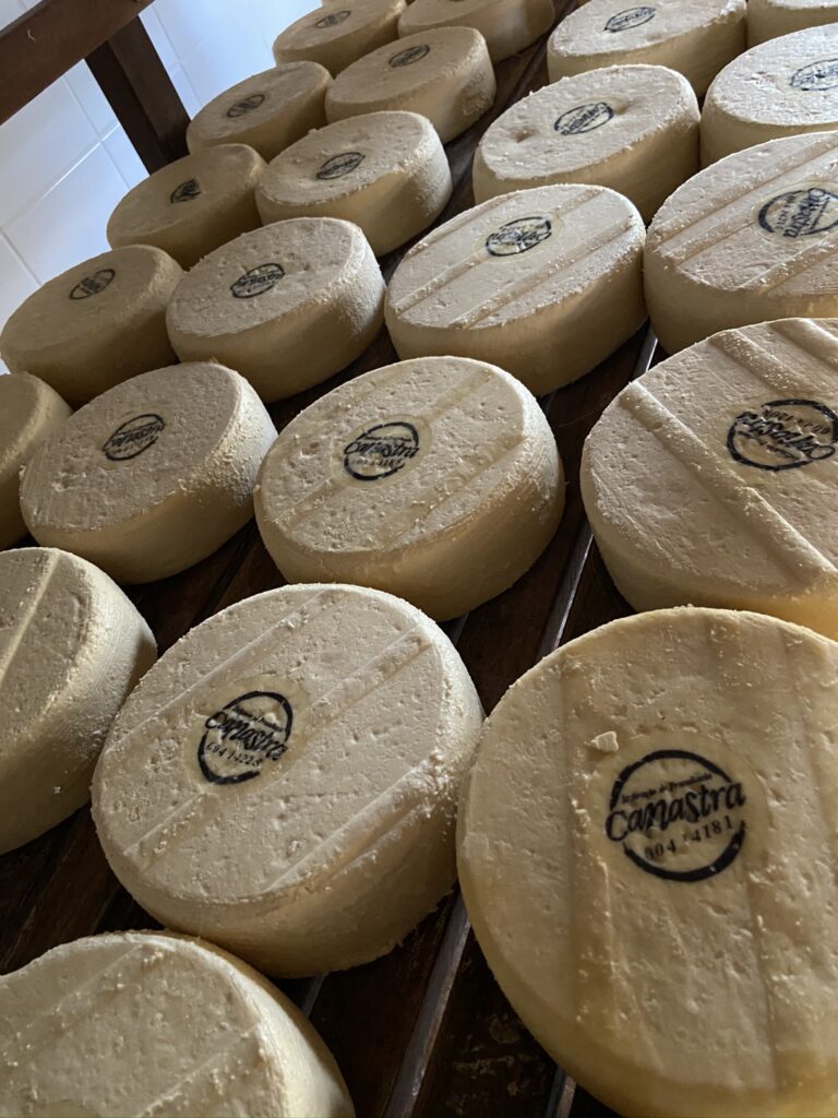 Governo de Minas, em parceria com o Sebrae, lança as rotas do Queijo da Canastra e do Serro no Festuris - Foto: divulgação