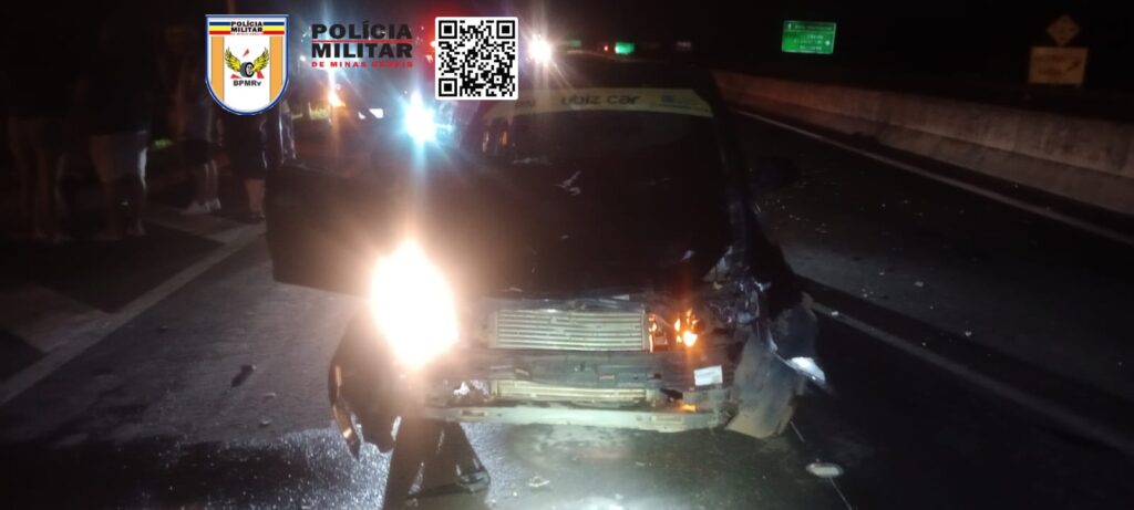 Búfala é atropelada na MG-050, em Itaú de Minas - Foto: divulgação/PMRv