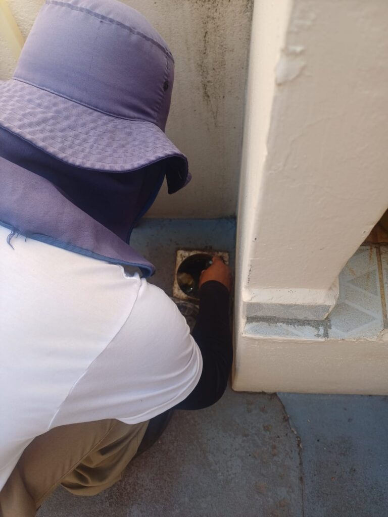 LIRAa aponta risco de epidemia de dengue em Piumhi, diz prefeitura - Foto: reprodução