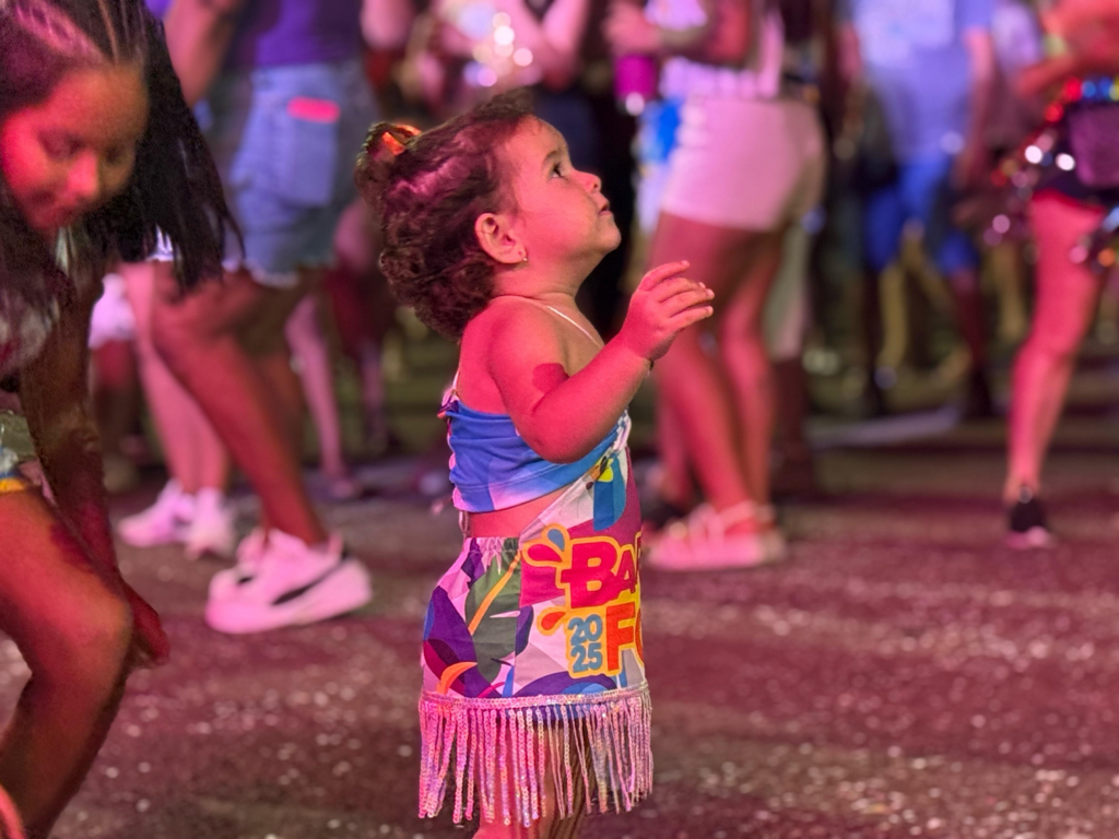 Barra Folia 2025 é marcado como o Carnaval mais seguro do Lago de Furnas, em São José da Barra - Foto: Prefeitura de São José da Barra