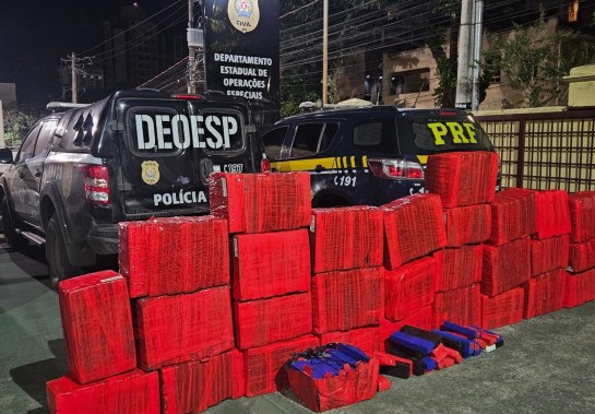 PRF e PCMG apreendem quase 1 tonelada de maconha durante ação conjunta na MG-050, em Formiga - Foto: divulgação