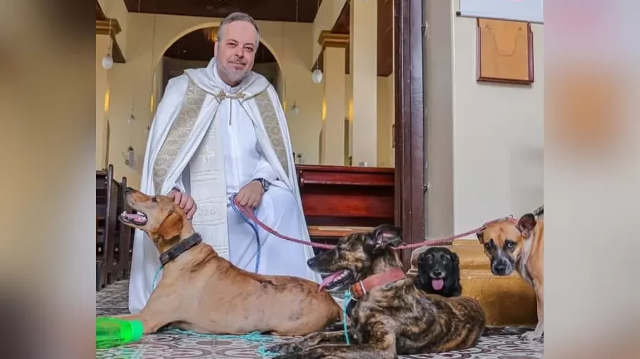 Padre põe pets para adoção em missa: 'São mais puros do que muitas almas' - Foto: Instagram