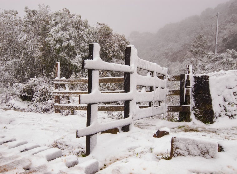 Brasil terá neve pela primeira vez em 2025; saiba onde - Foto: reprodução
