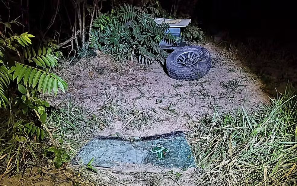 Idoso morre após capotar caminhonete e ser atacado por abelhas em Delfinópolis - Foto: Helder Almeida