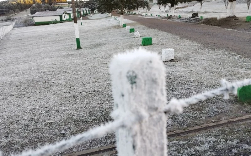 Inverno adiantado: 37 cidades do Sul de Minas têm risco de geada na próxima madrugada - Foto: reprodução