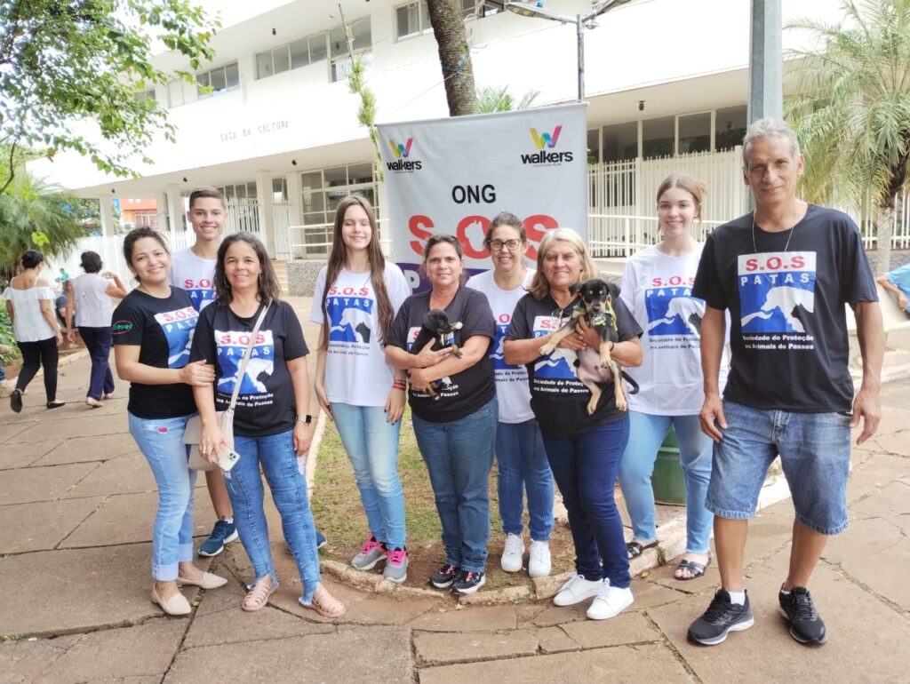 ONG SOS Patas lança campanha para proteger animais do frio em Passos - Foto: divulgação