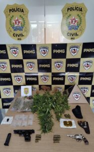Polícia Civil apreende armas, drogas e pés de maconha durante operação em propriedade rural de Cássia