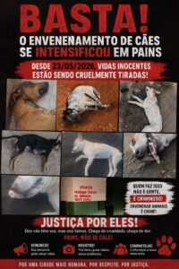 Polícia Civil investiga onda de envenenamento em massa que já matou mais de 10 cães em Pains
