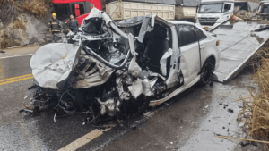 Motorista e passageiro morrem em batida entre carro e carreta na BR-354, em Formiga