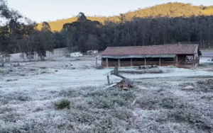 Geada cobre cidades do Sul de Minas após madrugada de frio intenso e temperatura abaixo de zero