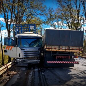 Motorista morre após caminhão invadir contramão e atingir bitrem na BR-354, em Arcos